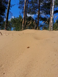 Пляж (Пляж)