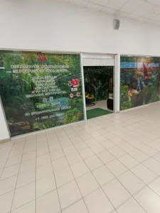 Зов джунглей (Организация и проведение детских праздников)