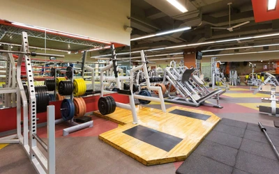 Korolef Fitness (Фитнес-клуб)