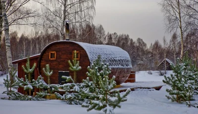 Лесной Берег (Дом отдыха)