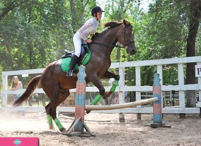 "Солнечный остров", конно-спортивный клуб в Парке металлургов, обучение верховой езде, катание на лошадях, Самара