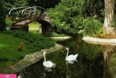 Калининградский зоопарк на проспекте Мира, Калининград 