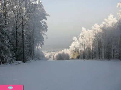 "Пихтовый гребень", горнолыжный комплекс в Новосибирской области 