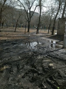 Детская игровая площадка (Детские игровые залы и площадки)