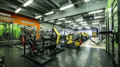 Alex Fitness (Фитнес-клуб )
