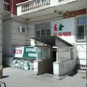 Веста (Ветеринарная клиника)