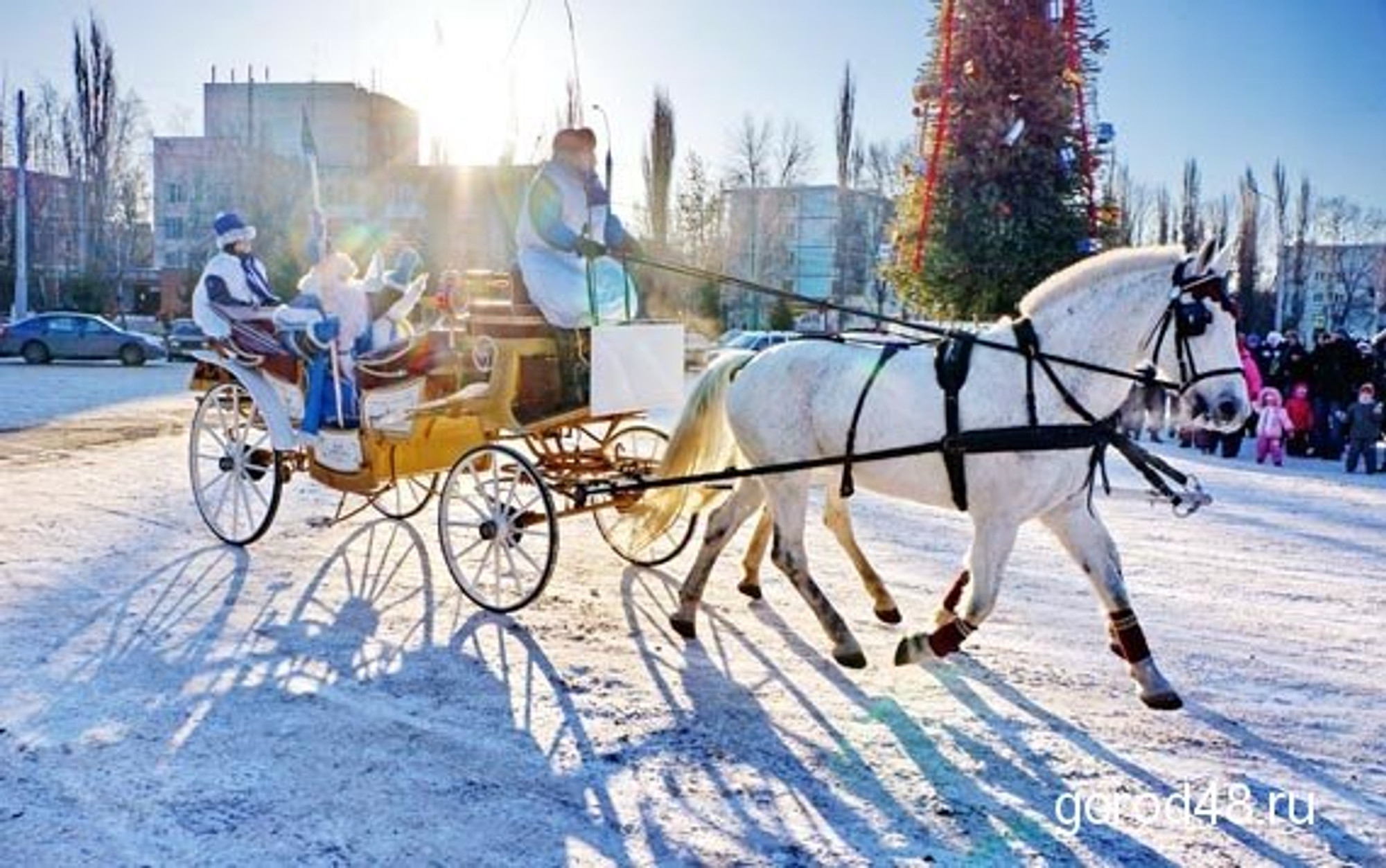 КСК Спектр (Конный клуб)