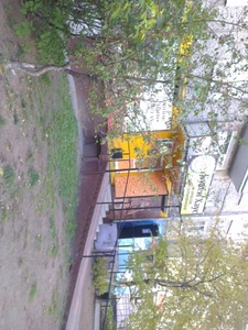 Бухен Хаус (Бар, паб)