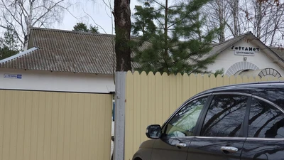 Бергамот (Центр развития ребёнка)