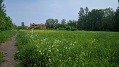 Свобода (Стадион)