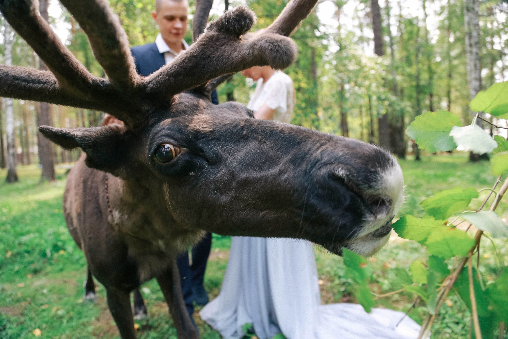 Изображение галлереи