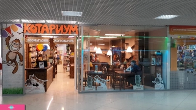 "Котариум", антикафе в Петрозаводске 