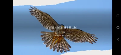 Презентация на заказ