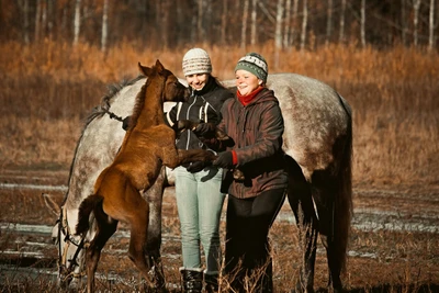 Конный клуб Royal Horse (Конный клуб )