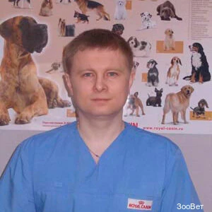 ЗооВет (Ветеринарная клиника )