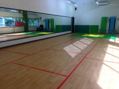 Российский центр Капоэйры (Спортивный клуб, секция )