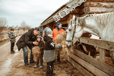 Лагерь выходного дня "Мирный воин" в Москве