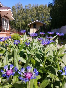 На Белой (Дом отдыха)