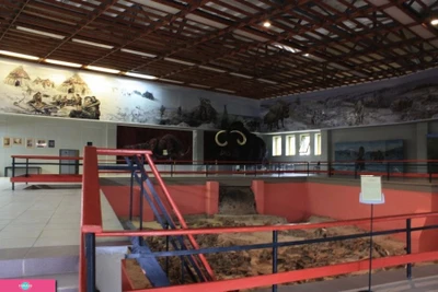 "Костёнки", государственный исторический музей-заповедник в Воронежской области