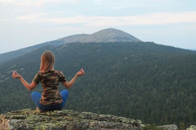 Рим-Шавкат (Туроператор)