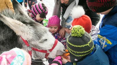 Посещение зоопарка "Радуга" для организованных групп