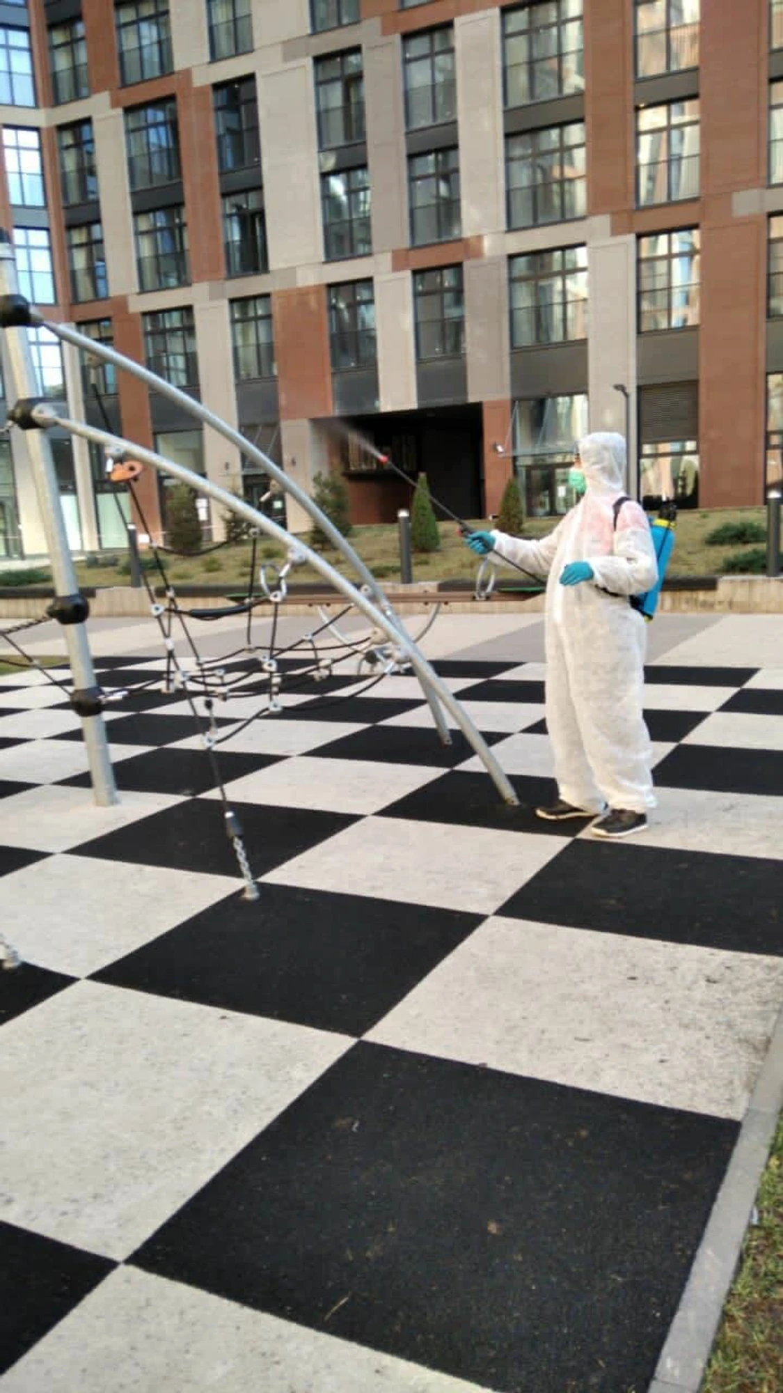 Москва Chess (Спортивная школа )