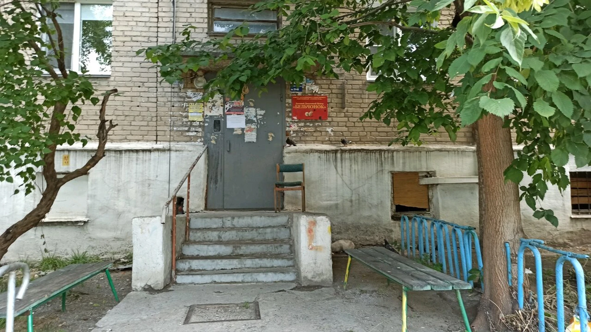 Бельчонок (Центр развития ребёнка )