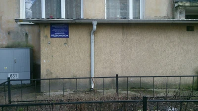 Медвежонок (Спортивный клуб, секция)