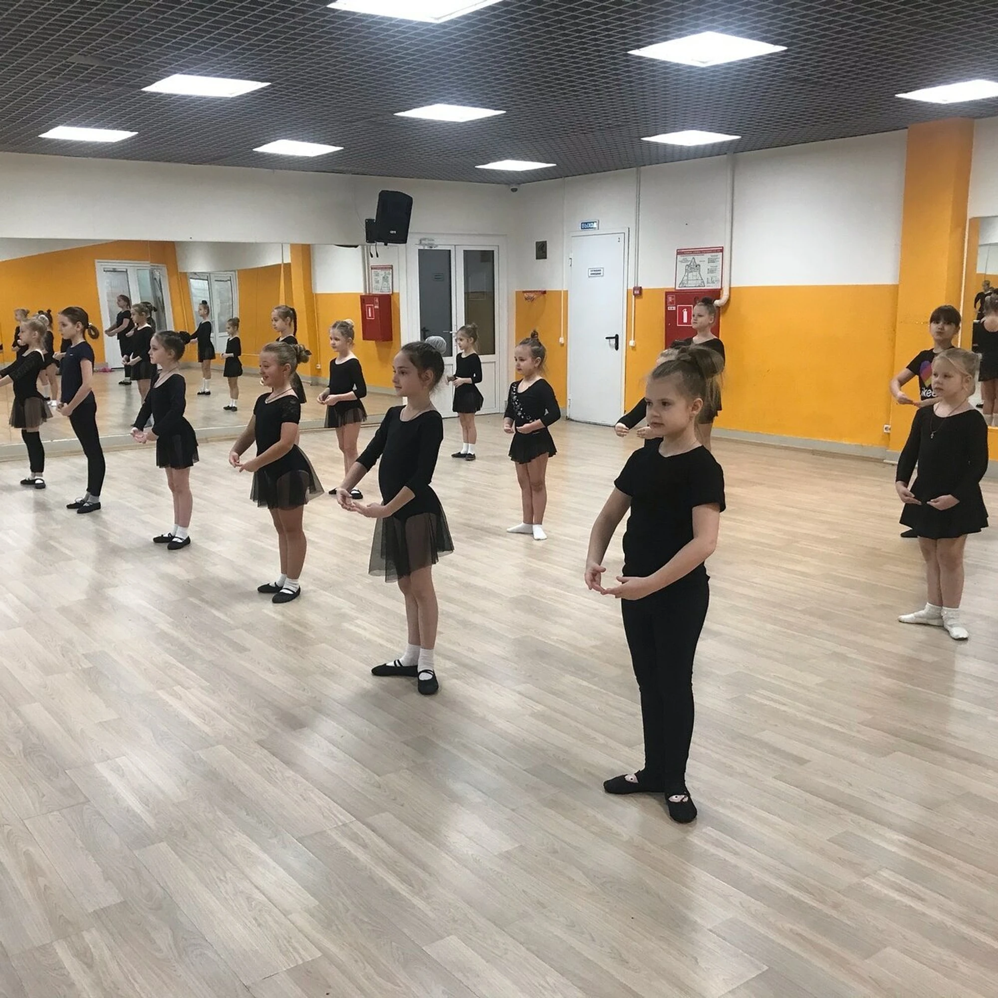 Академия спорта Ирбис-НН (Спортивная школа )