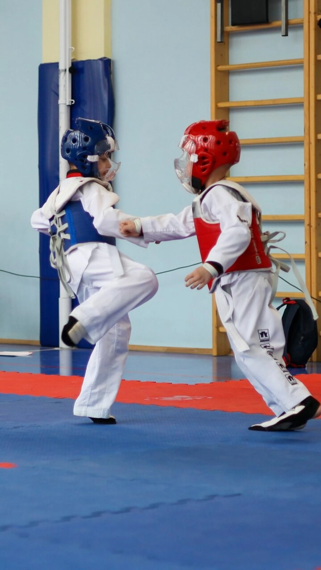 Спортивный клуб Лев (Спортивный клуб, секция )