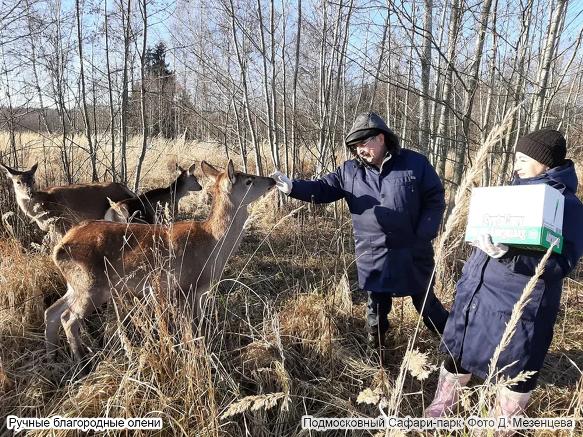 Экскурсия в Парк копытных и птиц