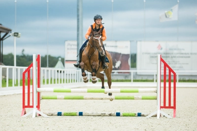 "Maxima Stables" (конноспортивный клуб)