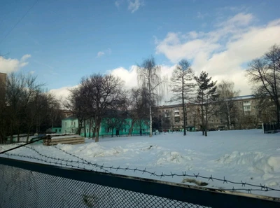 МАДОУ детский сад № 81 (Детский сад)