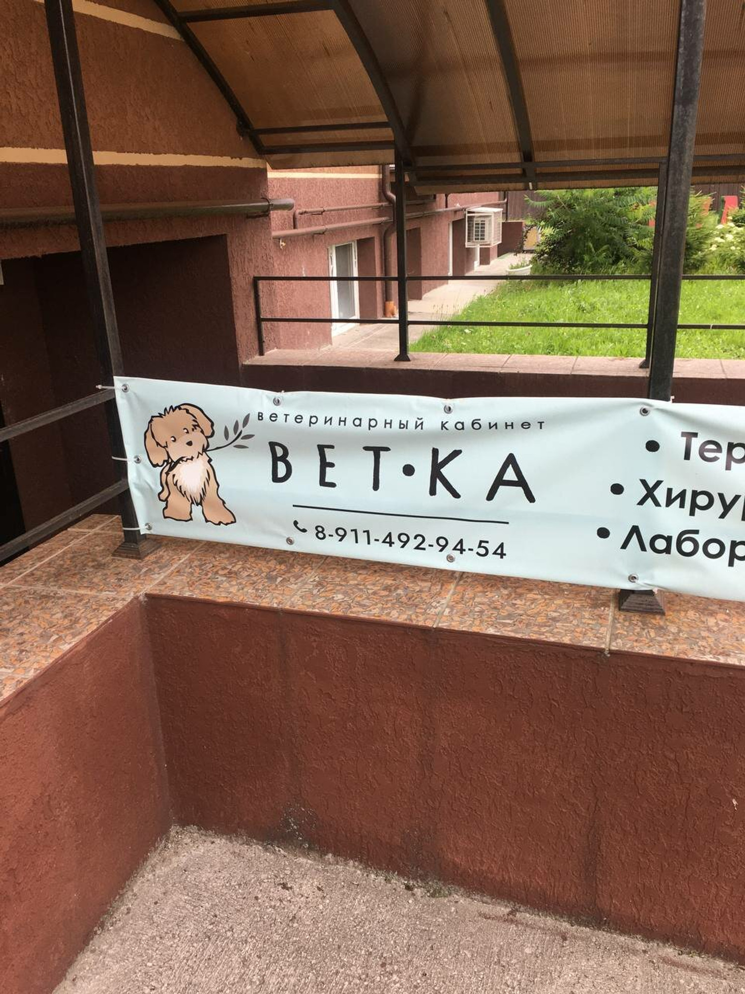 Ветка (Ветеринарная клиника)