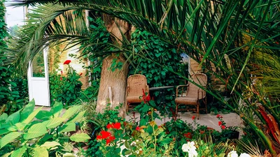 "Замок" (База отдыха)