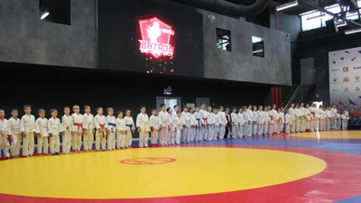 Центр прогресса бокса "Витязь" для детей и взрослых, г. Каменск-Уральский