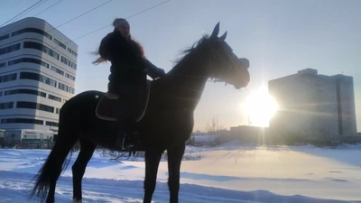 Destreza (Спортивный клуб, секция)