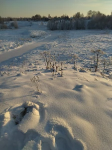 ЛОК Сахареж (Санаторно-курортное объединение )