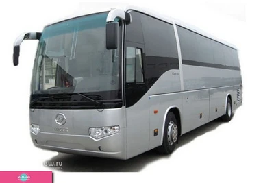 "Абсолют", транспортная компания, автобусы для детей в Санкт-Петербурге 