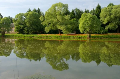 Дендрологический сад им. С. Ф. Харитонова (Парк культуры и отдыха)