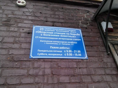 Балтийская ветеринарная лечебница (Ветеринарная клиника )