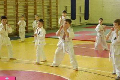 Спортивная секция Каратэ-до при Школе бизнеса, Красносельский район СПб 