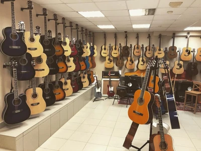 Музыкальный магазин (Музыкальный магазин )