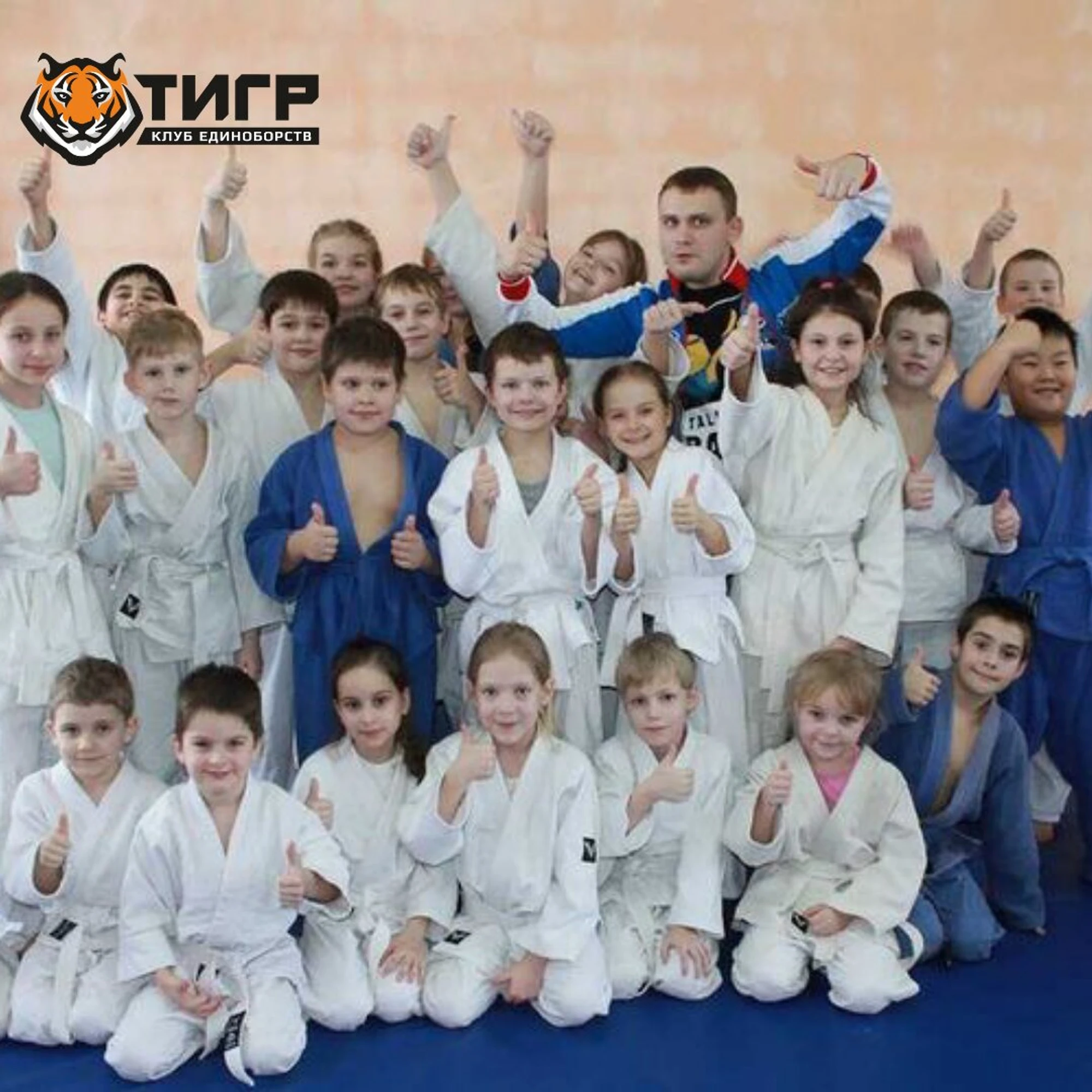 Тигр (Спортивный клуб, секция )