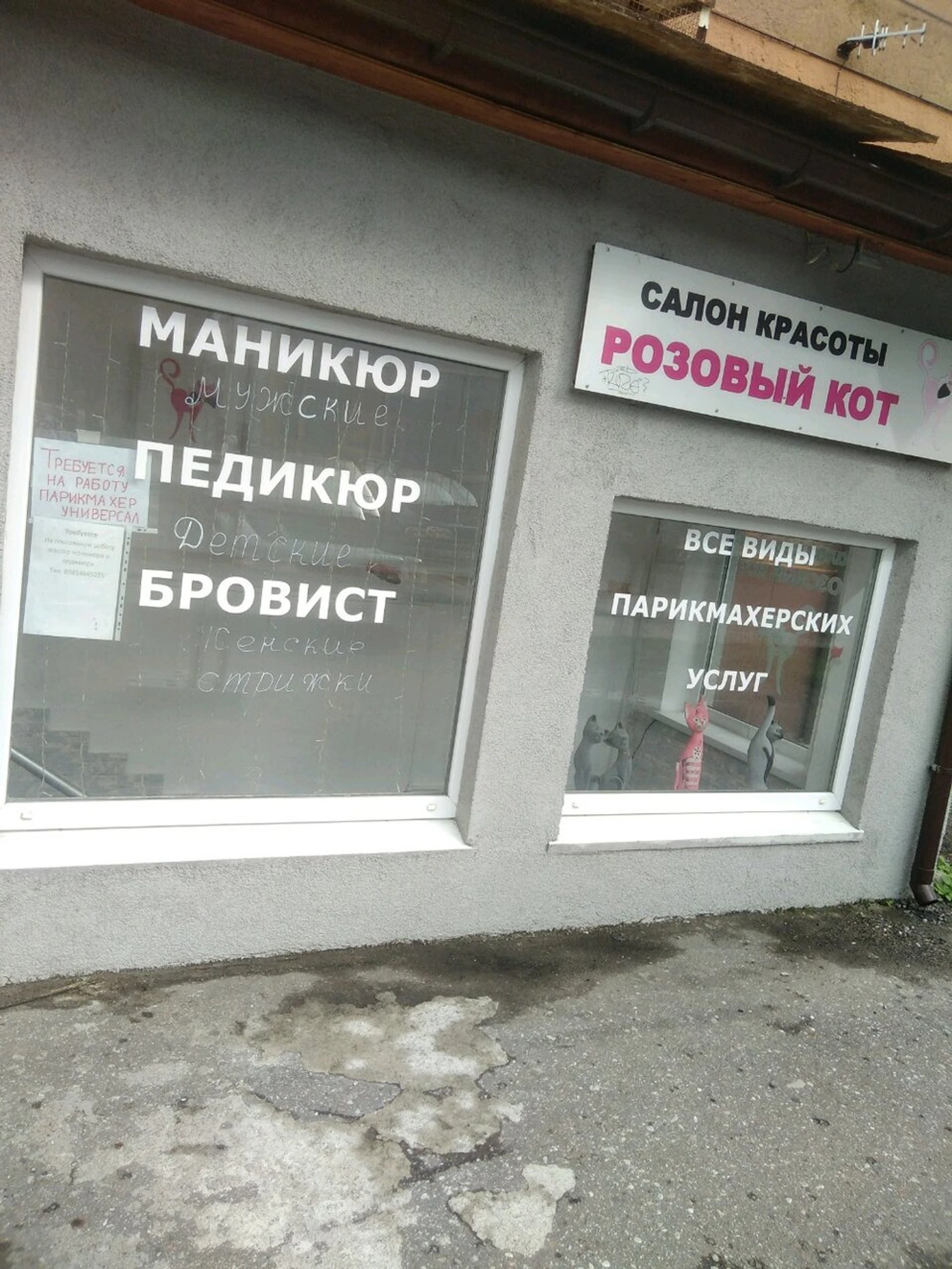 Розовый кот (Салон красоты)