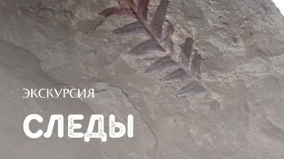 Экскурсия «Следы»