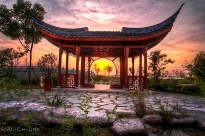 Wing chun (Спортивный клуб, секция )