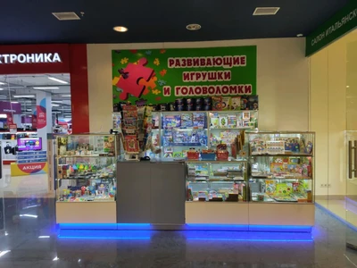 Развивающие игрушки и головоломки (Детские игрушки и игры)