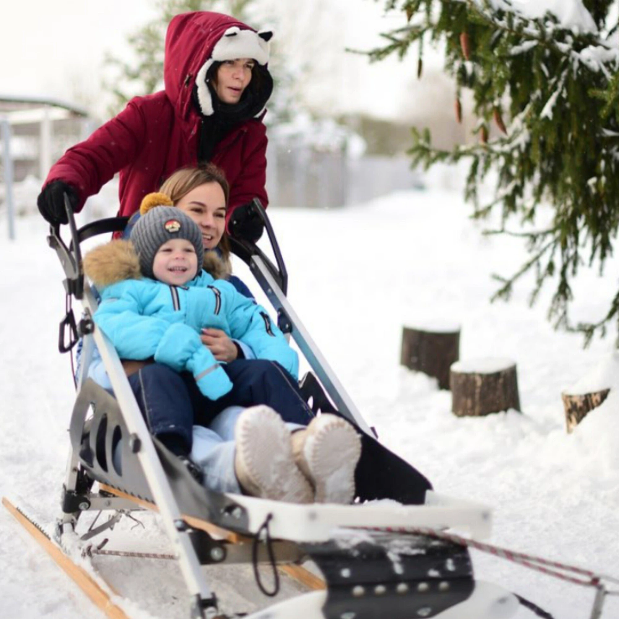 Сертификат на посещение парка "Хаски Лэнд" в Назарьево