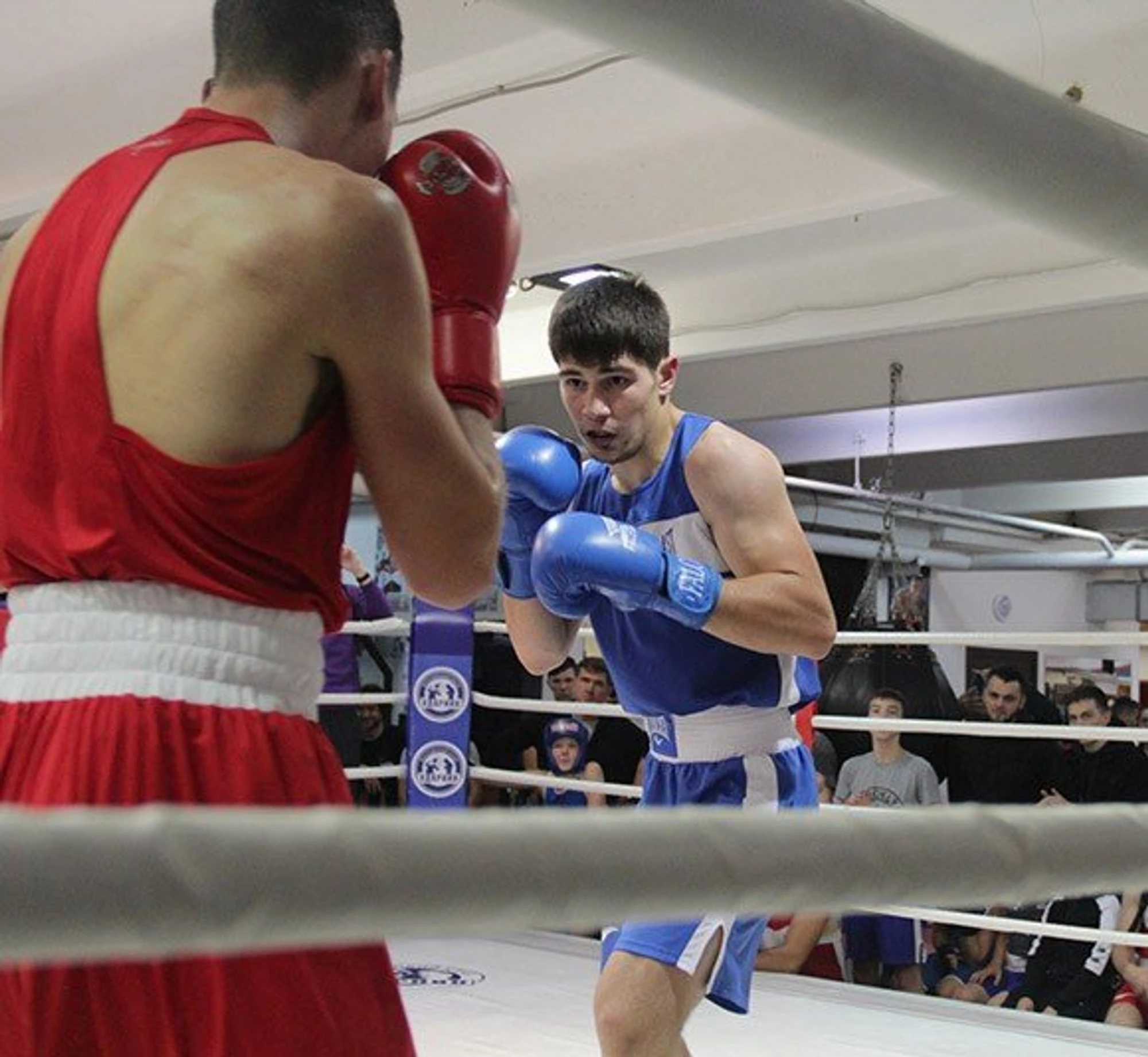 Абонемент на индивидуальные занятия по боксу для детей в клубе "Ударник"